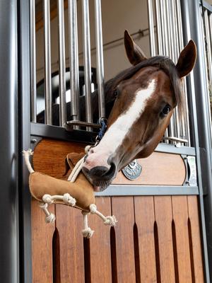 Show full view: LeMieux Horse Toy Sausage Dog, Sausage Dog slide 4 of 4