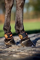 LeMieux Magno Pastern Horse Wrap, Black, 2 count slide 2 of 3