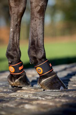 Show full view: LeMieux Magno Pastern Horse Wrap, Black, 2 count slide 2 of 3