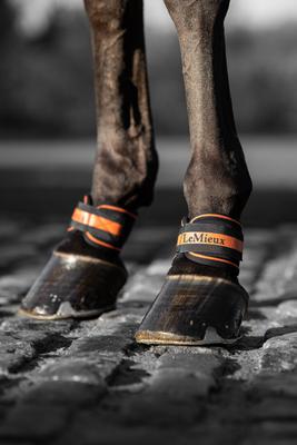 Show full view: LeMieux Magno Pastern Horse Wrap, Black, 2 count slide 3 of 3