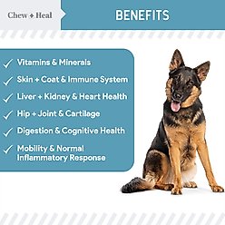Chew + Heal Daily 12-in-1 Multivitamin, Multifunctional Wellness Powder Supplement for Dogs, 5.4-oz jar slide 2 of 9