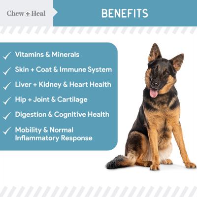 Show full view: Chew + Heal Daily 12-in-1 Multivitamin, Multifunctional Wellness Powder Supplement for Dogs, 5.4-oz jar slide 3 of 11