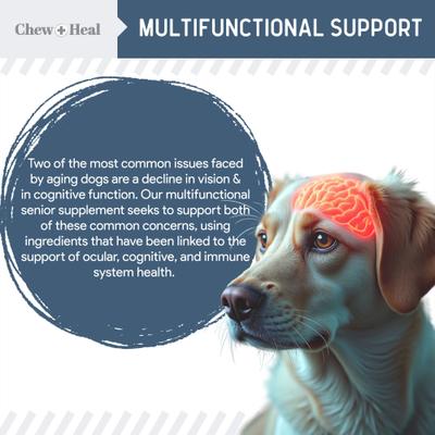 Show full view: Chew + Heal Senior Vision + Cognition Soft Chews Supplement for Senior Dogs, 60 count slide 7 of 11