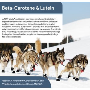 Chew + Heal Senior Vision + Cognition Soft Chews Supplement for Senior Dogs, 120 count