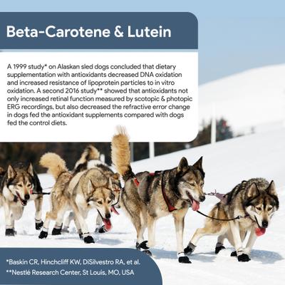 Show full view: Chew + Heal Senior Vision + Cognition Soft Chews Supplement for Senior Dogs, 60 count slide 6 of 11