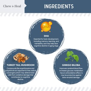 Chew + Heal Senior Vision + Cognition Soft Chews Supplement for Senior Dogs, 120 count