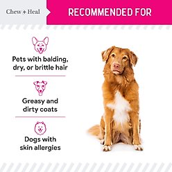 Chew + Heal Omega Skin + Coat with Flaxseed, Kelp & Omegas Powder Supplement for Dogs, 14-oz jar slide 2 of 9