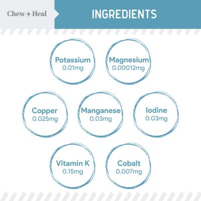 Show full view: Chew + Heal Daily 12-in-1 Multivitamin, Multifunctional Wellness Powder Supplement for Dogs, 5.4-oz jar slide 6 of 11