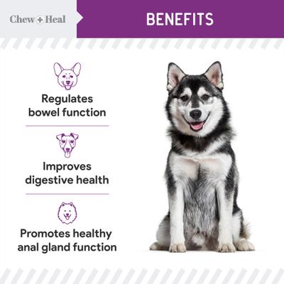 Show full view: Chew + Heal Stop The Scoot Anal Glands Powder Supplement for Dogs, 5.4-oz jar slide 5 of 10