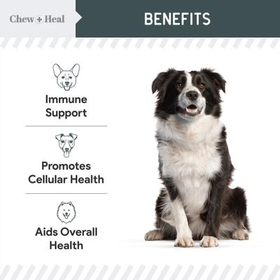 Show full view: Chew + Heal Immune Support Mushroom Complex Soft Chews Supplement for Dogs, 90 count slide 10 of 11
