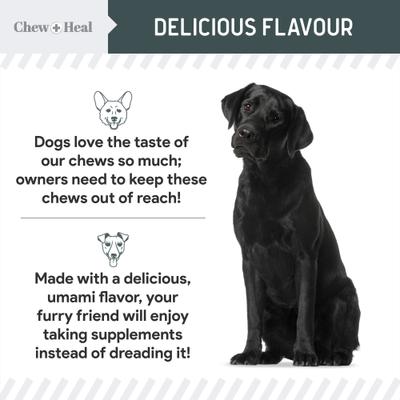 Show full view: Chew + Heal Immune Support Mushroom Complex Soft Chews Supplement for Dogs, 90 count slide 7 of 11