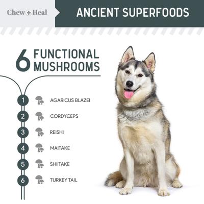 Show full view: Chew + Heal Immune Support Mushroom Complex Soft Chews Supplement for Dogs, 90 count slide 3 of 11