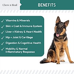 Chew + Heal Essential 12-in-1 Multifunctional Support Chews Dog Supplement & Chew + Heal Senior Hip + Joint Chews Dog Supplement, 240 count slide 2 of 8