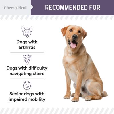 Show full view: Chew + Heal Senior Mobility + Vitality Hip & Joint & Mood Support Chewable Tablets Supplement for Dogs, 120 count slide 10 of 11