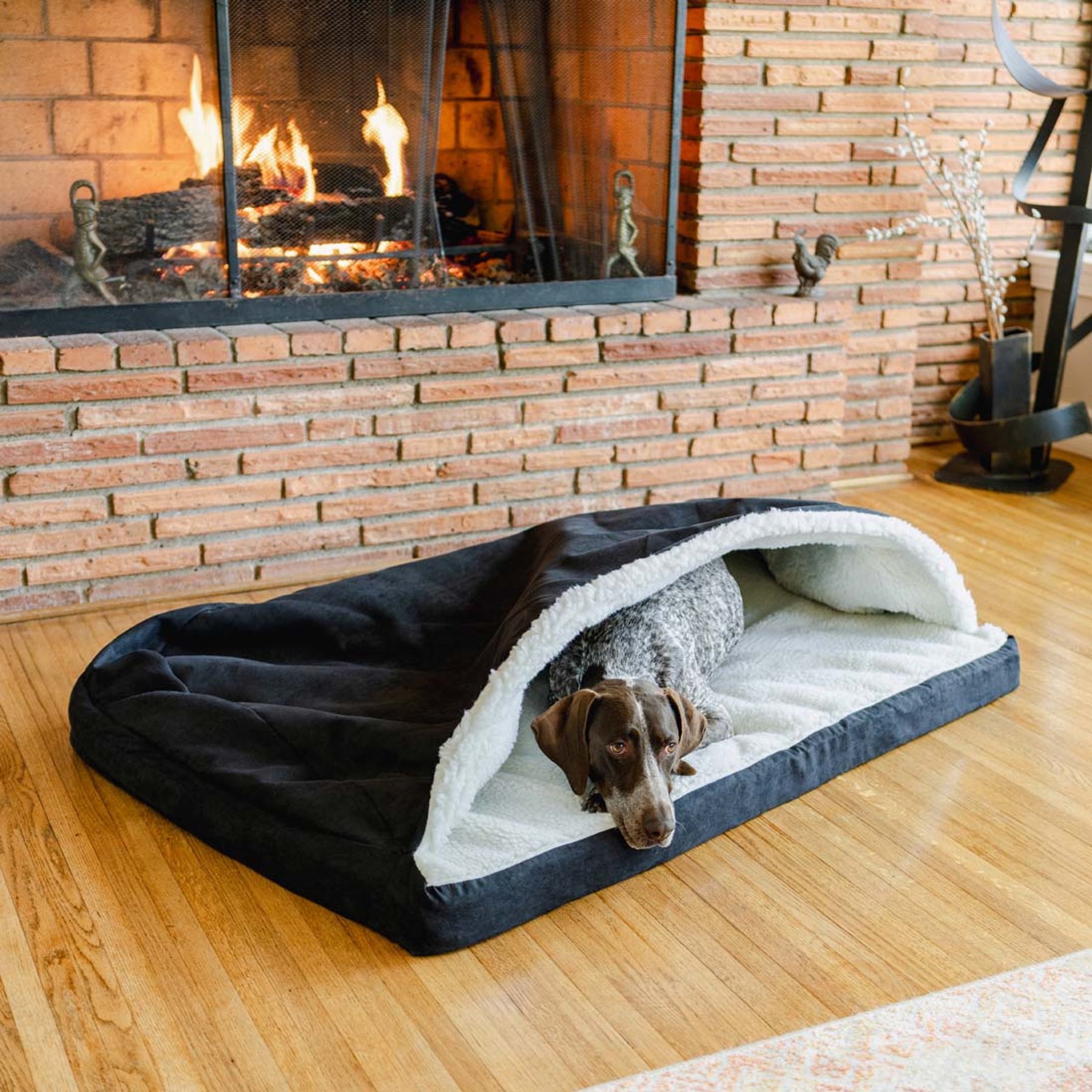 Snoozer Pet Products Orthopedic Microsuede Cozy Cave Dog Bed, Black, Large