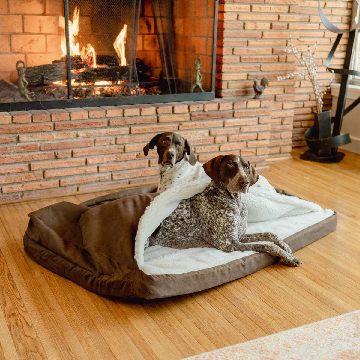 Snoozer Pet Products Orthopedic Microsuede Cozy Cave Dog Bed, Hot Fudge, Large