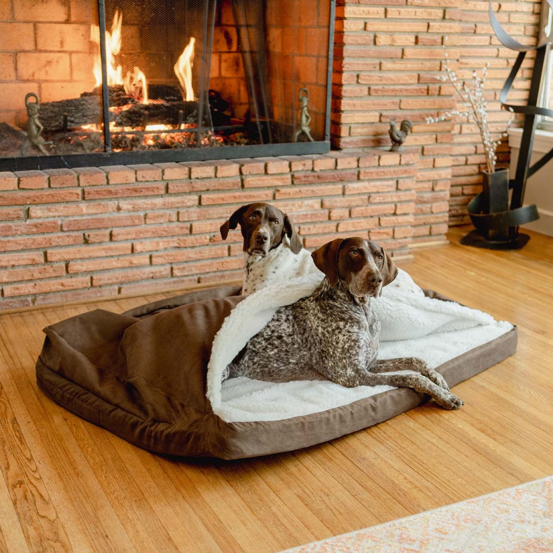 Snoozer Pet Products Forgiveness Luxury Microsuede Cozy Cave Covered Dog Bed with Removable Cover, Hot Fudge, X-Large