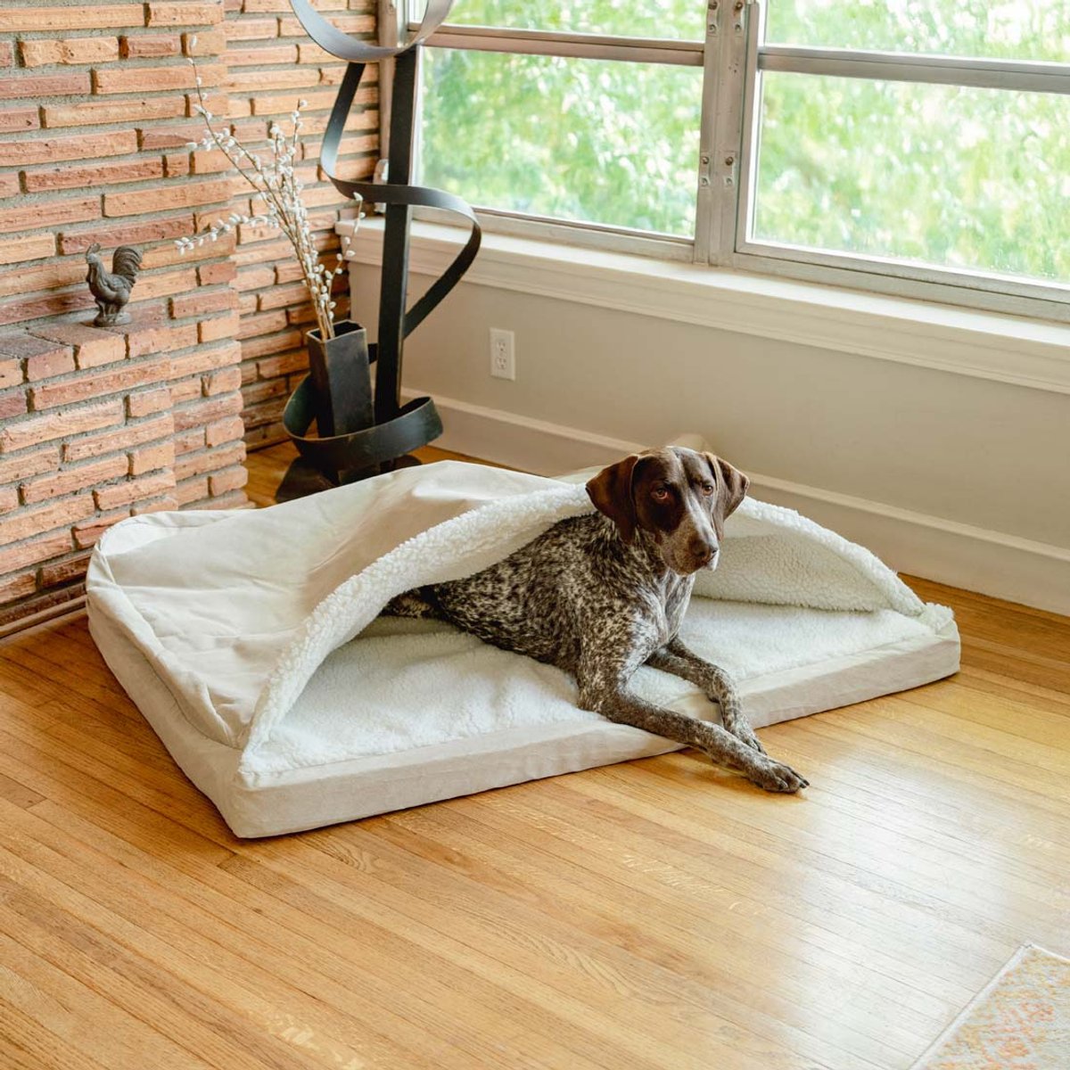 Snoozer Pet Products Forgiveness Luxury Microsuede Cozy Cave Covered Dog Bed with Removable Cover, Buckskin, X-Large