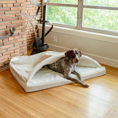 Snoozer Pet Products Snoozer Pet Products Forgiveness Luxury Microsuede Cozy Cave Covered Dog Bed with Removable Cover, Buckskin, X-Large