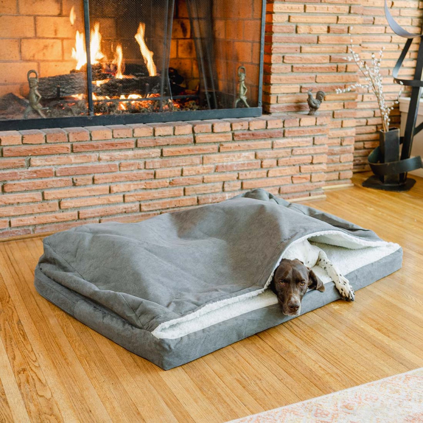 Snoozer Pet Products Orthopedic Microsuede Cozy Cave Dog Bed, Anthracite, Medium