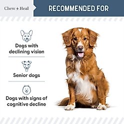 Chew + Heal Senior Vision + Cognition Soft Chews Supplement for Senior Dogs, 240 count slide 2 of 9
