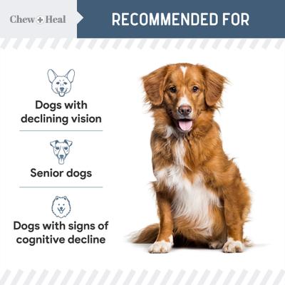 Show full view: Chew + Heal Senior Vision + Cognition Soft Chews Supplement for Senior Dogs, 60 count slide 10 of 11