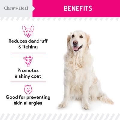 Show full view: Chew + Heal Omega Skin + Coat with Flaxseed, Kelp & Omegas Powder Supplement for Dogs, 5.4-oz jar slide 5 of 11