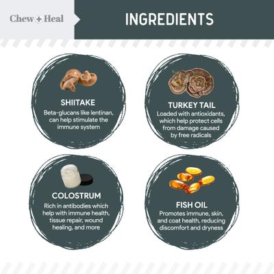 Show full view: Chew + Heal Immune Support Mushroom Complex Soft Chews Supplement for Dogs, 90 count slide 6 of 11