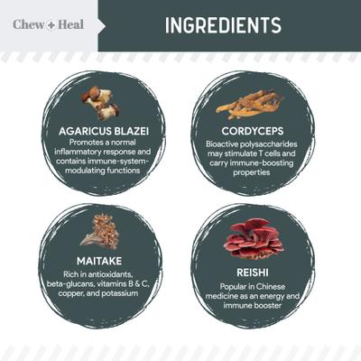 Show full view: Chew + Heal Immune Support Mushroom Complex Soft Chews Supplement for Dogs, 90 count slide 4 of 11