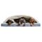 Show in main carousel: Snoozer Pet Products Forgiveness Microsuede Cozy Cave Covered Dog Bed with Removable Cover, Palmer Indigo, X-Large slide 2 of 6