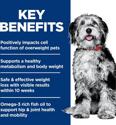 Hill's Science Diet Perfect Weight & Joint Support Chicken Flavored Adult Dry Dog Food