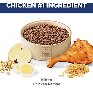 Hill's Science Diet Kitten Healthy Development Chicken Recipe Dry Cat Food, 15.5-lb bag