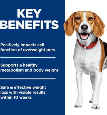 Show full view: Hill's Science Diet Adult Perfect Weight Management Small Bites Chicken Recipe Dry Dog Food, 12-lb bag slide 7 of 12