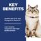Show in main carousel: Hill's Science Diet Adult 1-6 Chicken Rice Recipe No Corn, Wheat or Soy Dry Cat Food, 15-lb bag slide 5 of 12