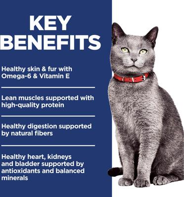 Show full view: Hill's Science Diet Senior Adult 7+ Chicken & Brown Rice Recipe No Corn, Wheat or Soy Dry Cat Food, 7-lb bag slide 4 of 11