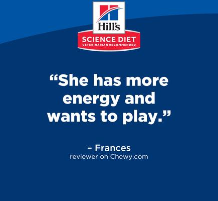 Show full view: Hill's Science Diet Adult 7+ Senior Vitality Chicken Recipe Dry Dog Food, 12.5-lb bag slide 4 of 13