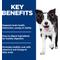 Show in main carousel: Hill's Science Diet Adult 7+ Senior Vitality Chicken Recipe Dry Dog Food, 12.5-lb bag slide 6 of 13