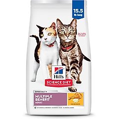is corn safe for cats
