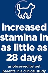 Hill's Science Diet Adult 7+ Senior Vitality Chicken Recipe Dry Dog Food, 21.5-lb bag slide 2 of 8