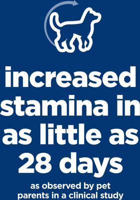 Show full view: Hill's Science Diet Adult 7+ Senior Vitality Small Breed & Mini Breed Chicken & Rice Recipe Dry Dog Food, 3.5-lb bag slide 3 of 13