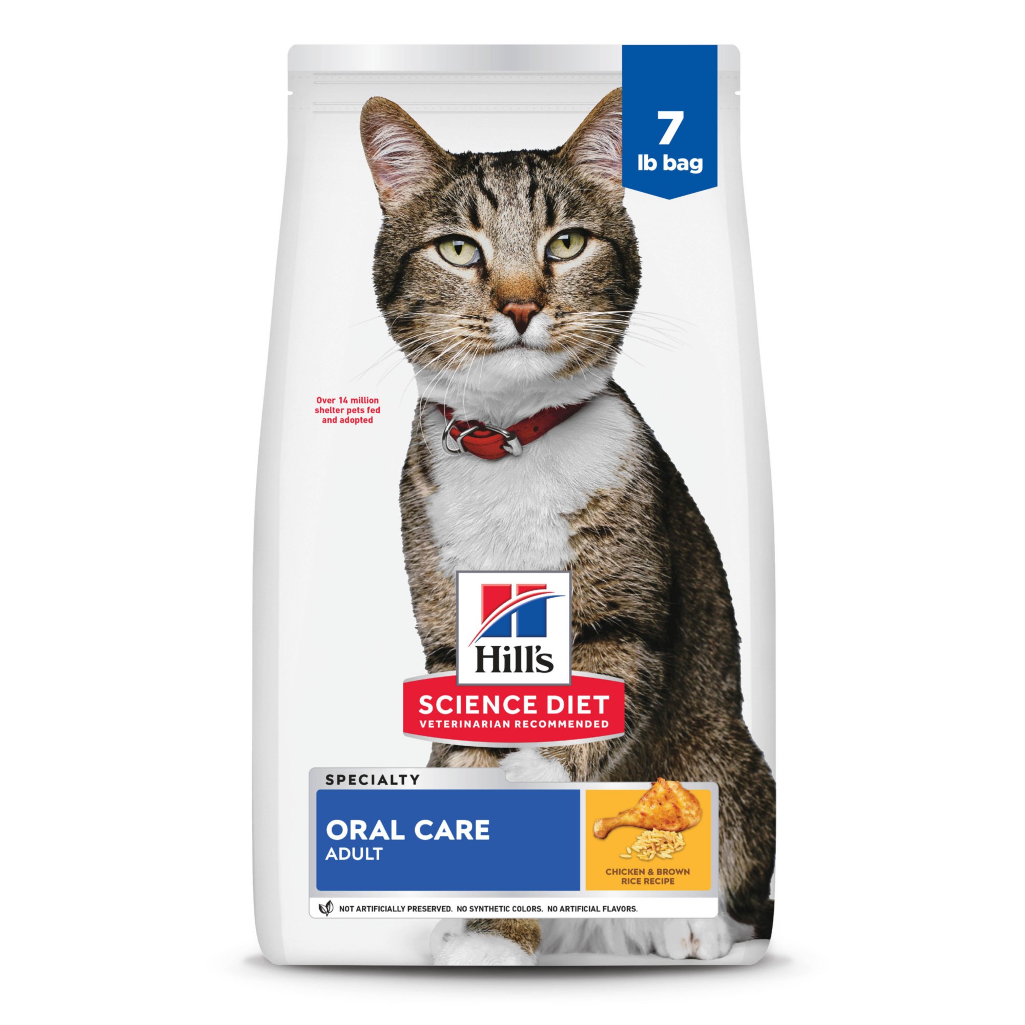 Adult Oral Care Chicken Recipe Dry Cat Food