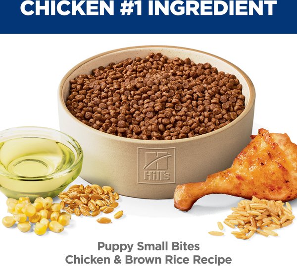 Hill's Science Diet Puppy Small Bites Chicken & Brown Rice Recipe Dry Dog Food