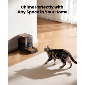 OneIsAll PF05 Automatic Cat Feeder, Black, 12-cup