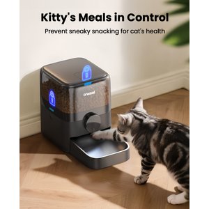OneIsAll PF05 Automatic Cat Feeder, Black, 12-cup
