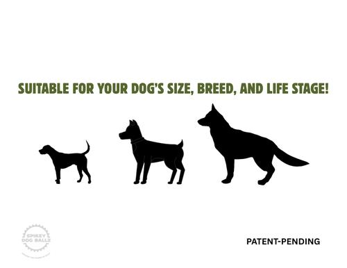 Show full view: IBK Doggies 3-inch Spikey Ballz Dog Toy with Squeaker, 3 count slide 9 of 12