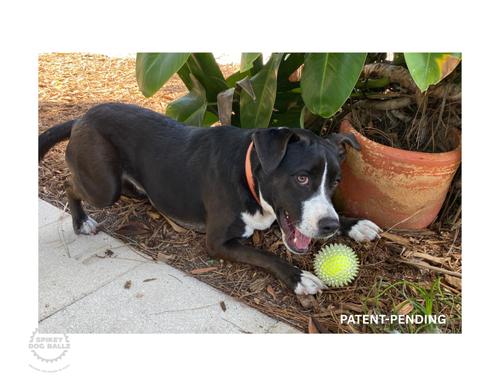 Show full view: IBK Doggies 3-inch Spikey Ballz Dog Toy with Squeaker, 3 count slide 8 of 12