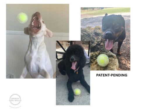 Show full view: IBK Doggies 3-inch Spikey Ballz Dog Toy with Squeaker, 3 count slide 7 of 12