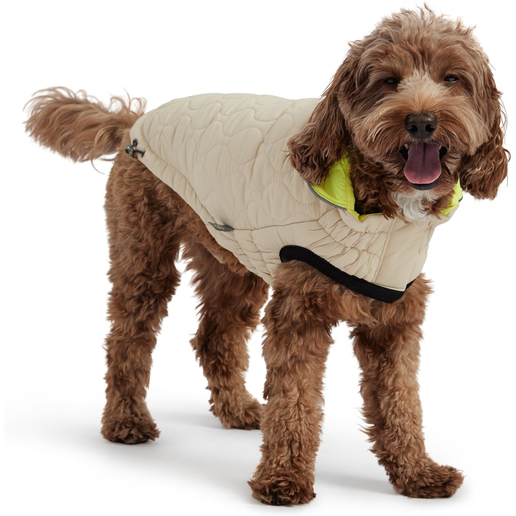 GF Pet Reversible Chalet Dog Jacket, Sand, Large