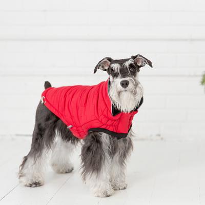 GF Pet Reversible Chalet Dog Jacket