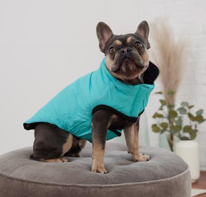 Show full view: GF Pet Reversible Chalet Dog Jacket, Black/Aqua, Medium slide 7 of 12
